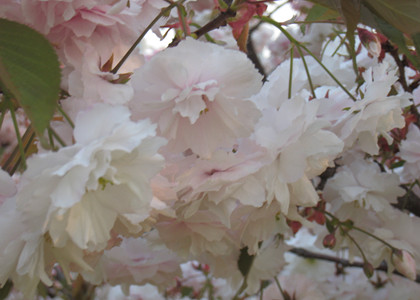 大連翻譯公司提升消費(fèi)體驗(yàn)是關(guān)鍵