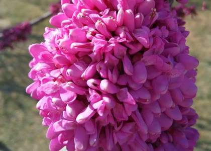 翻譯公司安身立命的三個(gè)根本